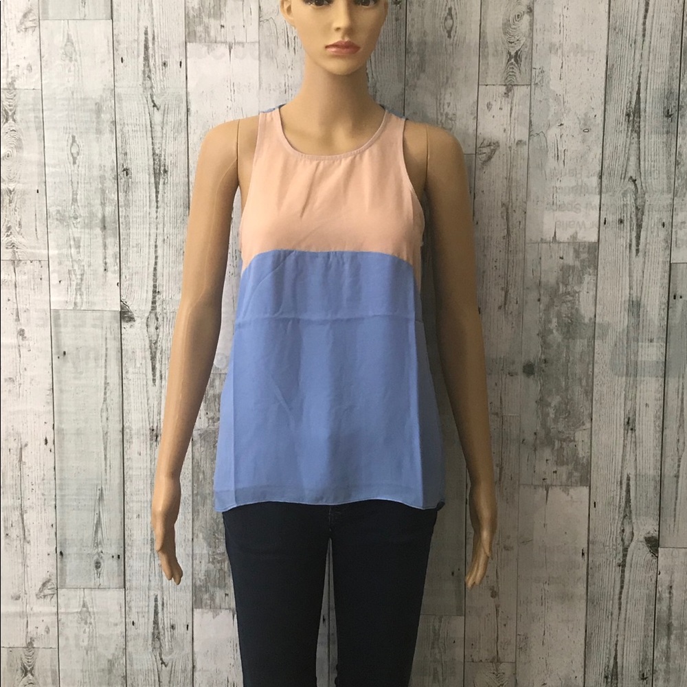 Endless Rose top